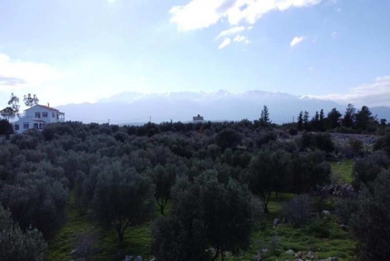 Kokkino Chorio Kreta, Kokkino Chorio: Landschaftlich reizvolles Grundstück mit Meerblick zu verkaufen Grundstück kaufen